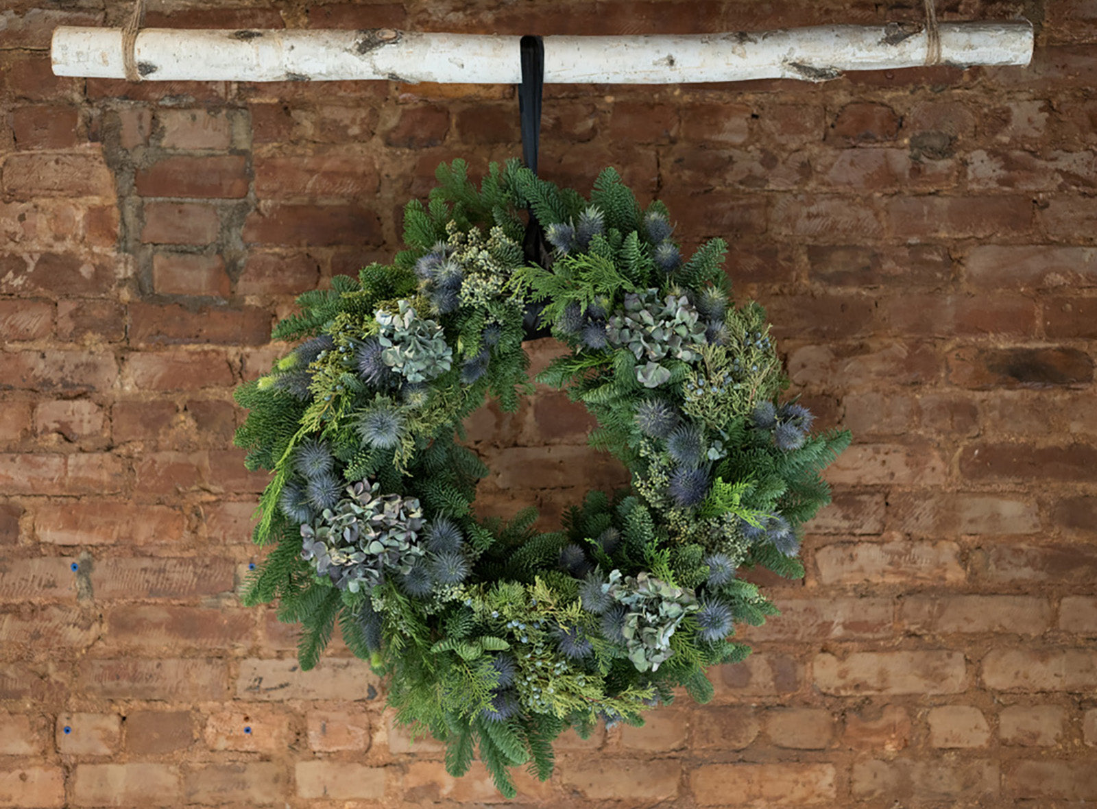 Blue Thistle Wreath - Élan Flowers