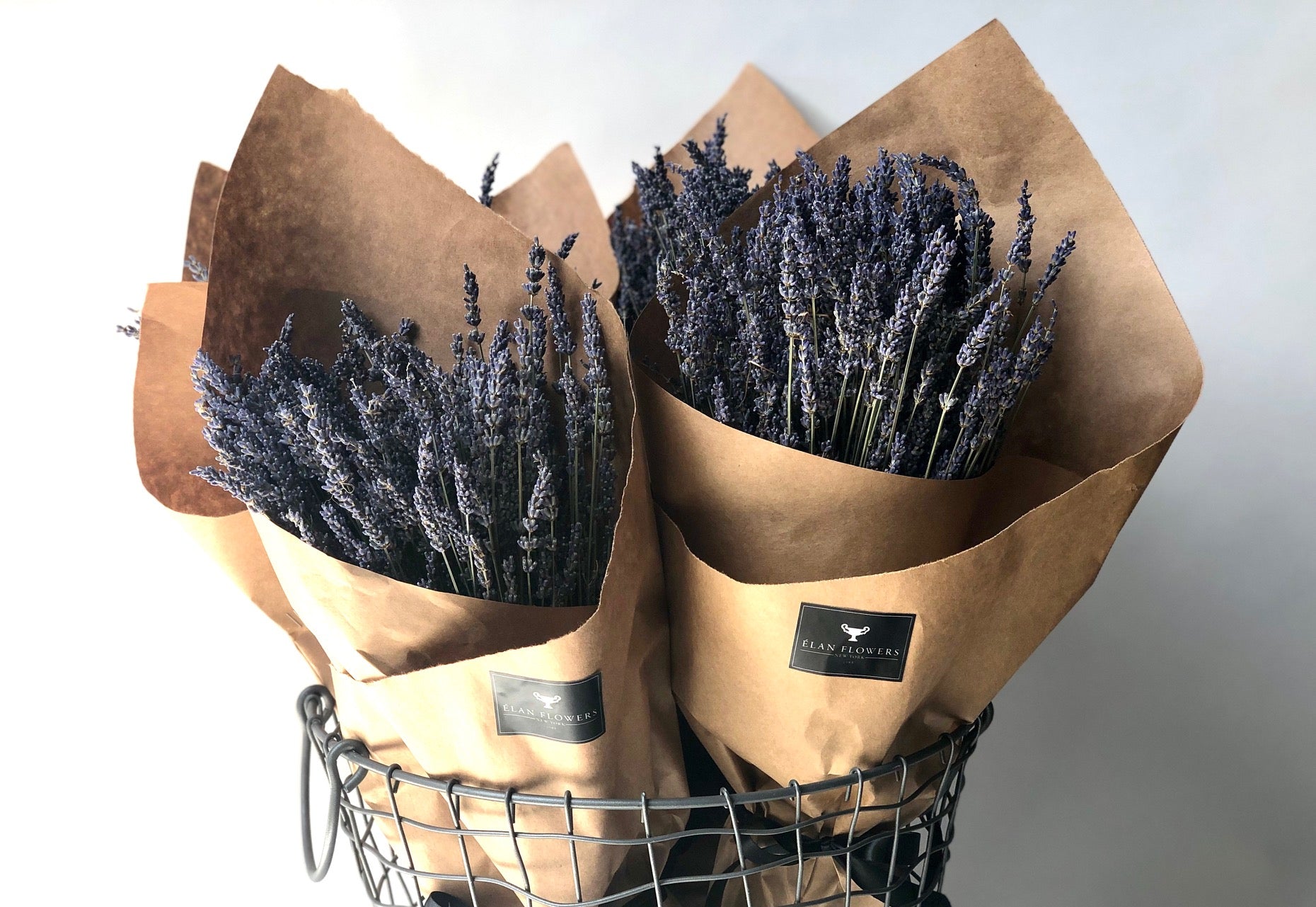 Dried Lavender from the South of France - Élan Flowers