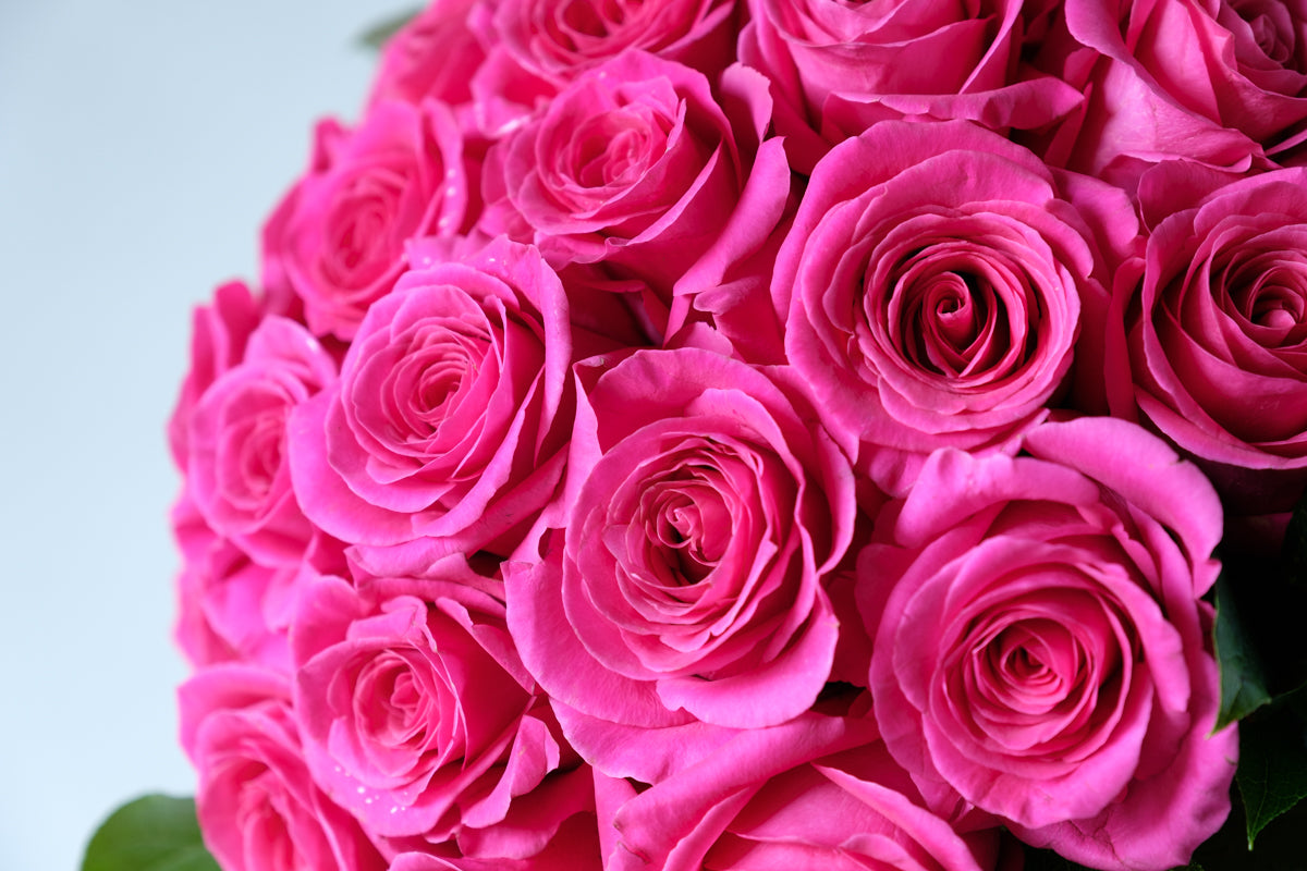 The Classic Statement - Élan Flowers