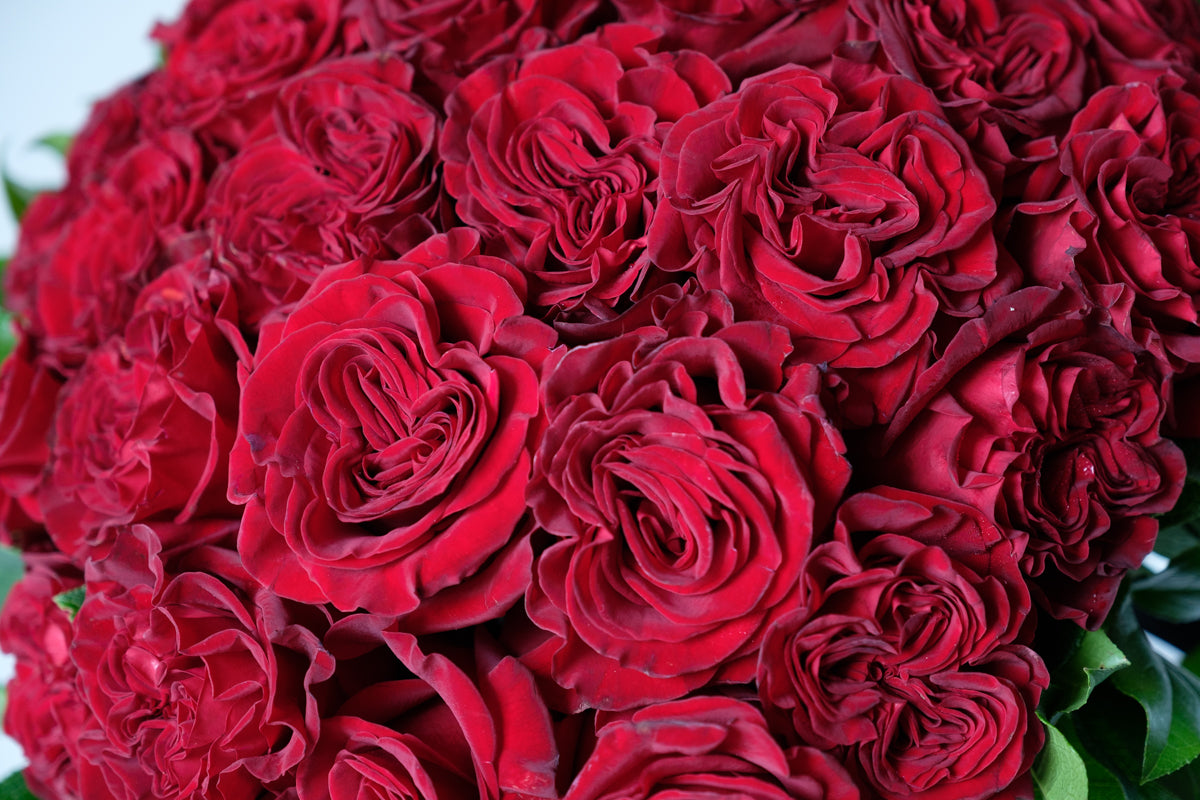 The Classic - Élan Flowers