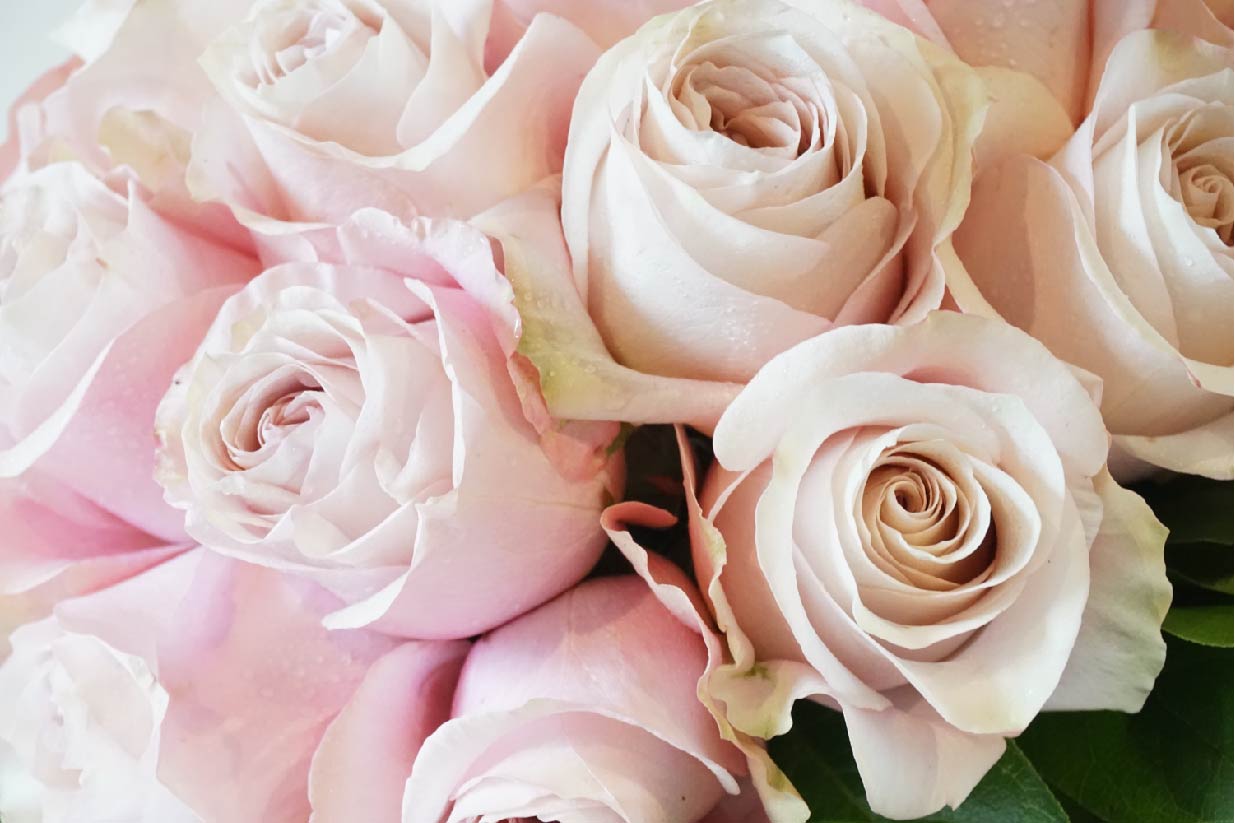 The Classic Statement - Élan Flowers