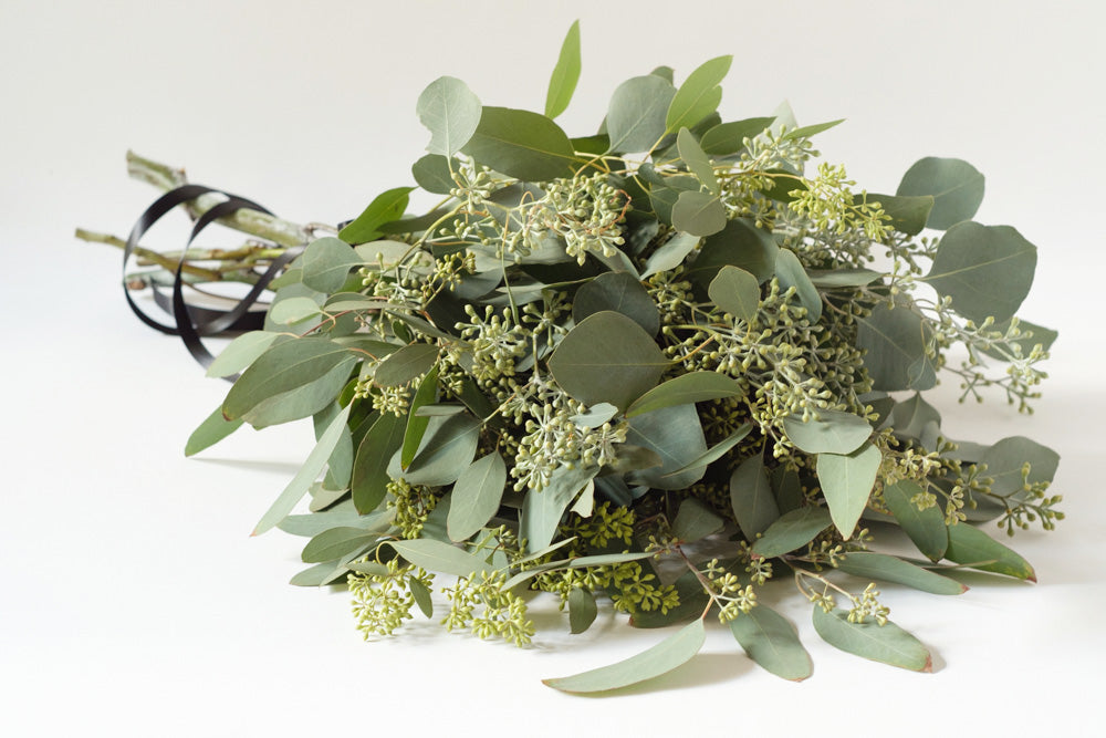 Seeded Eucalyptus - Élan Flowers