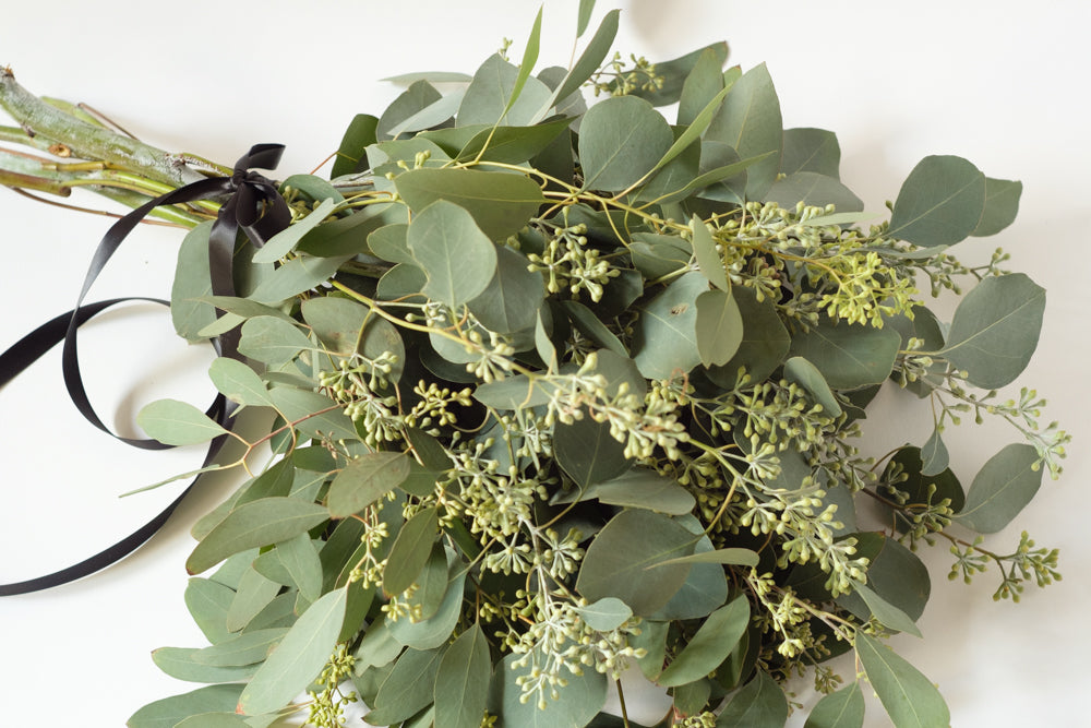 Seeded Eucalyptus - Élan Flowers