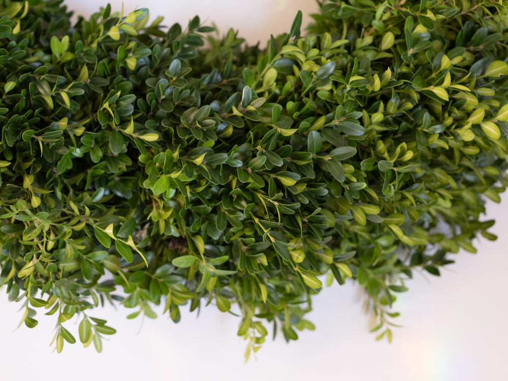 Boxwood Wreath and Garland - Élan Flowers