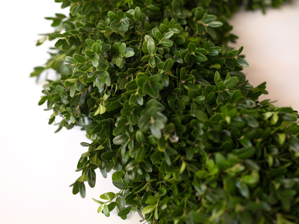 Boxwood Wreath and Garland - Élan Flowers