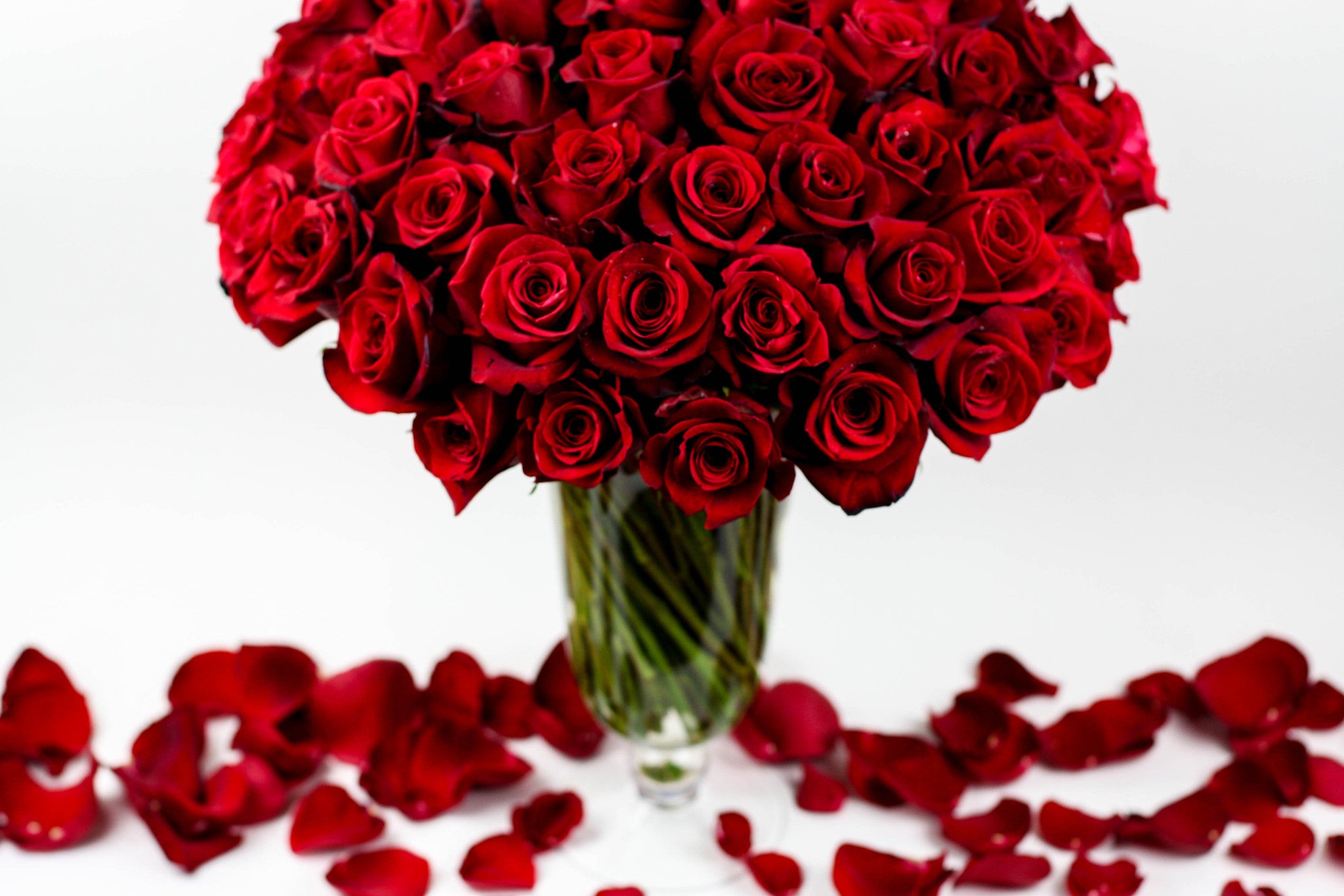 The Classic Statement - Élan Flowers