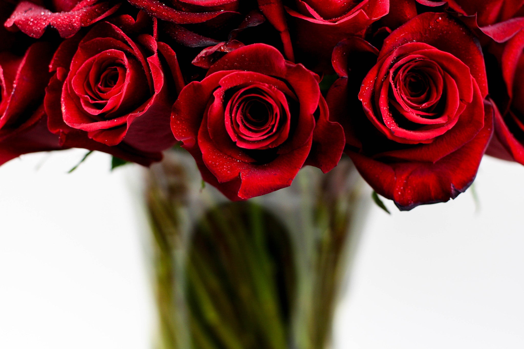 The Classic Statement - Élan Flowers