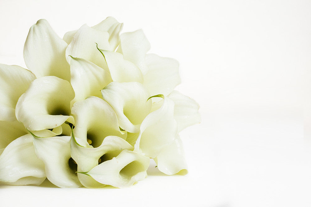 White Callas - Élan Flowers