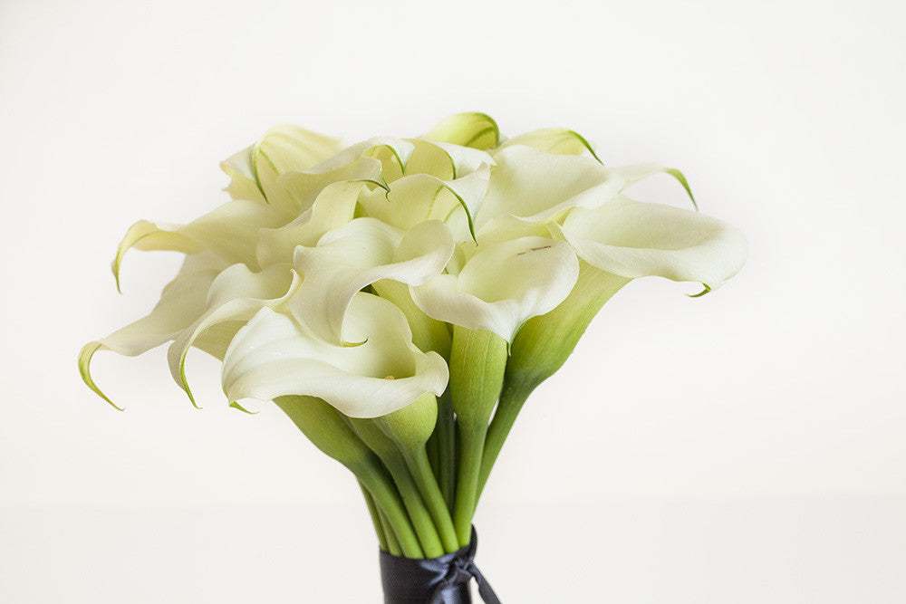 White Callas - Élan Flowers